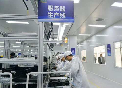 黑馬河南 這一年，不平凡的網絡技術服務征程