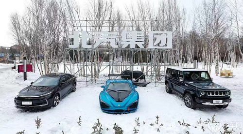 行達天下·新挑戰 北汽集團攜全系新能源汽車產品征服長白山冰雪之旅