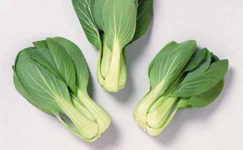 炒前必須焯水的3種蔬菜，再懶也別省這一步，你別還不知道