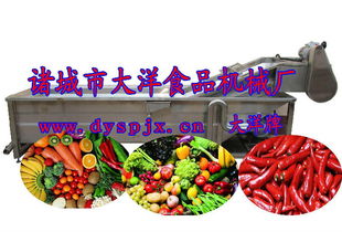 全方位解析蔬菜加工設(shè)備 葉子菜清洗機(jī)價(jià)格、廠家與選購指南